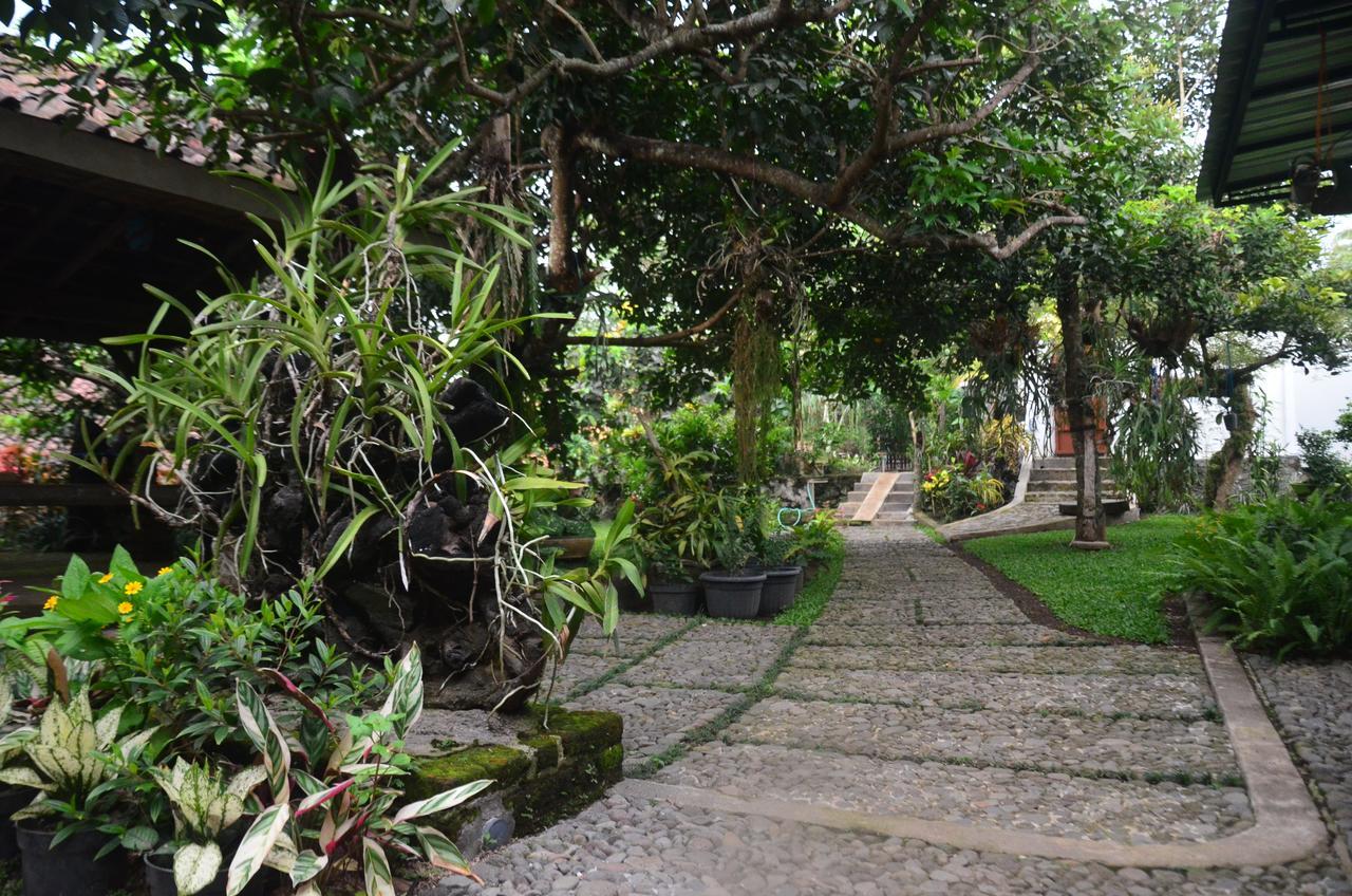 Banyu Homestay Banyuwangi  Bagian luar foto