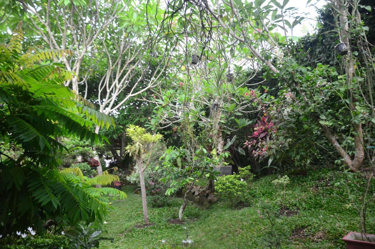 Banyu Homestay Banyuwangi  Bagian luar foto