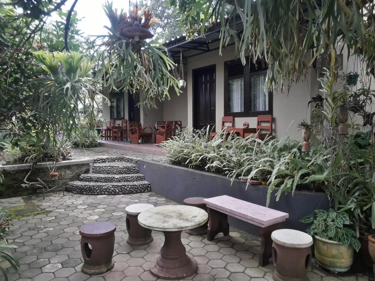 Banyu Homestay Banyuwangi  Bagian luar foto
