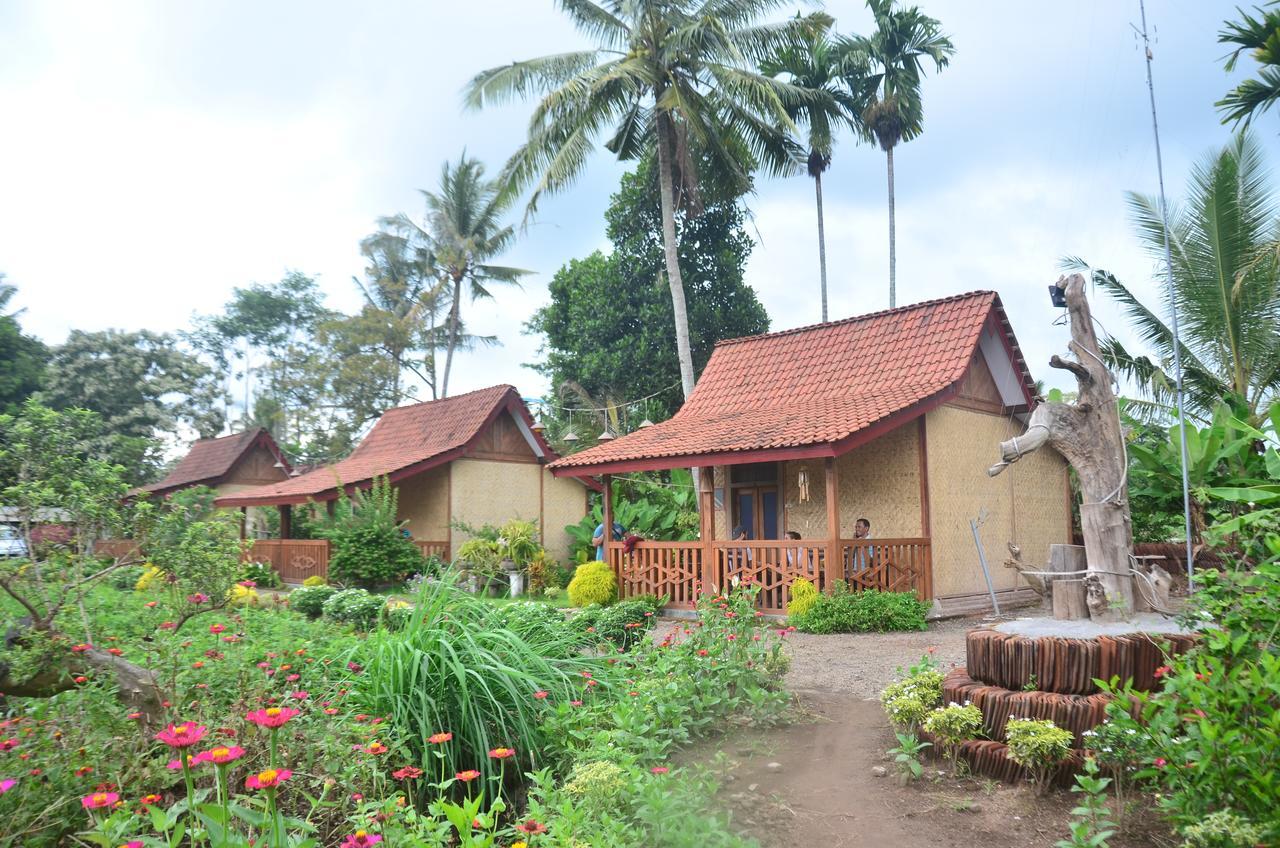 Banyu Homestay Banyuwangi  Bagian luar foto