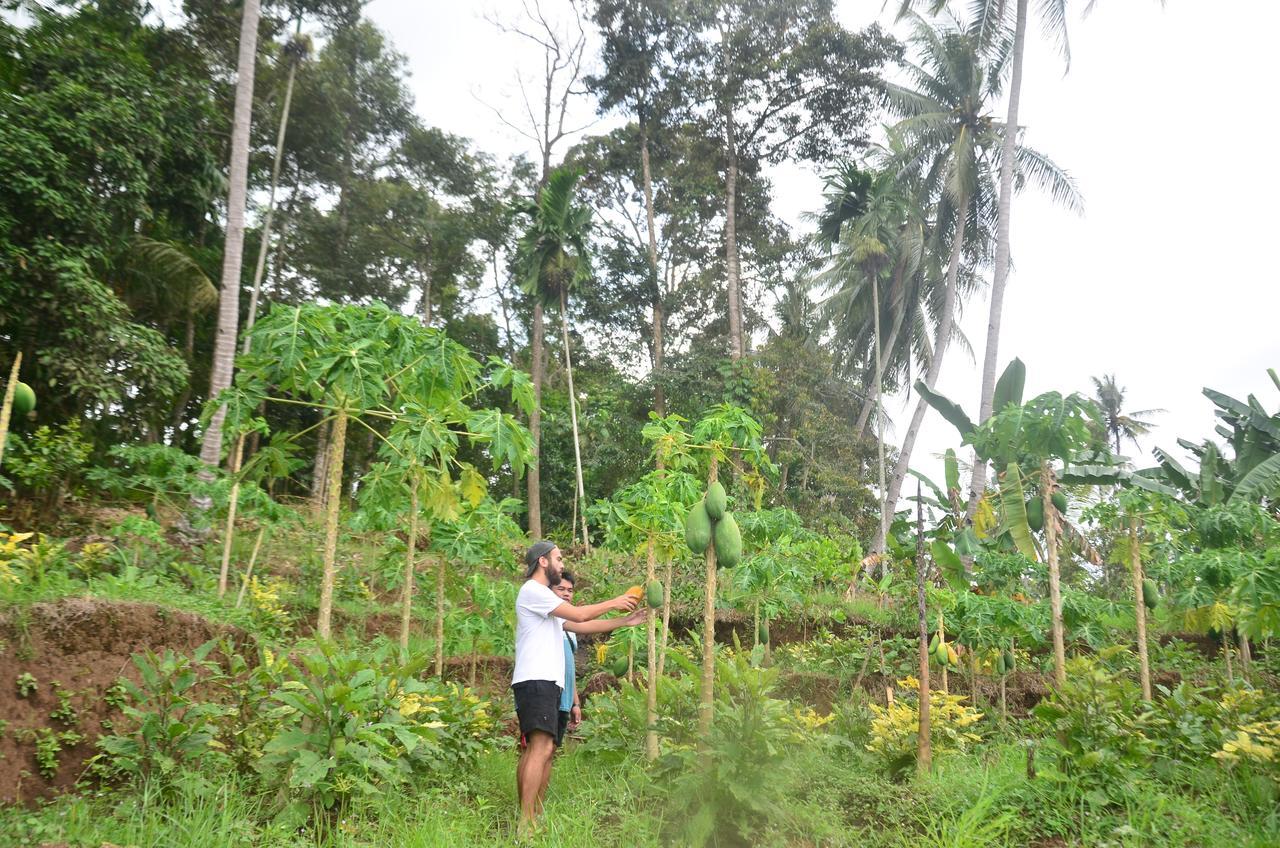 Banyu Homestay Banyuwangi  Bagian luar foto