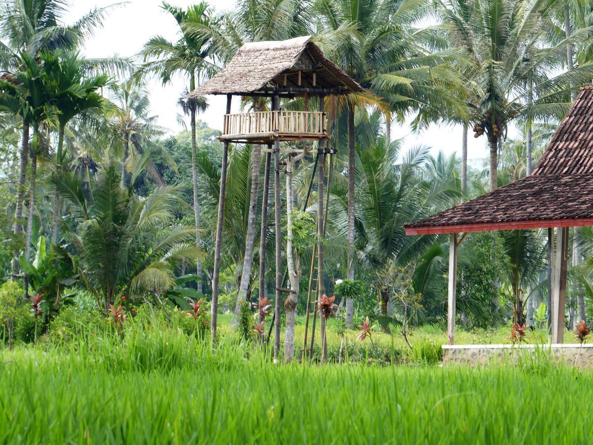 Banyu Homestay Banyuwangi  Bagian luar foto