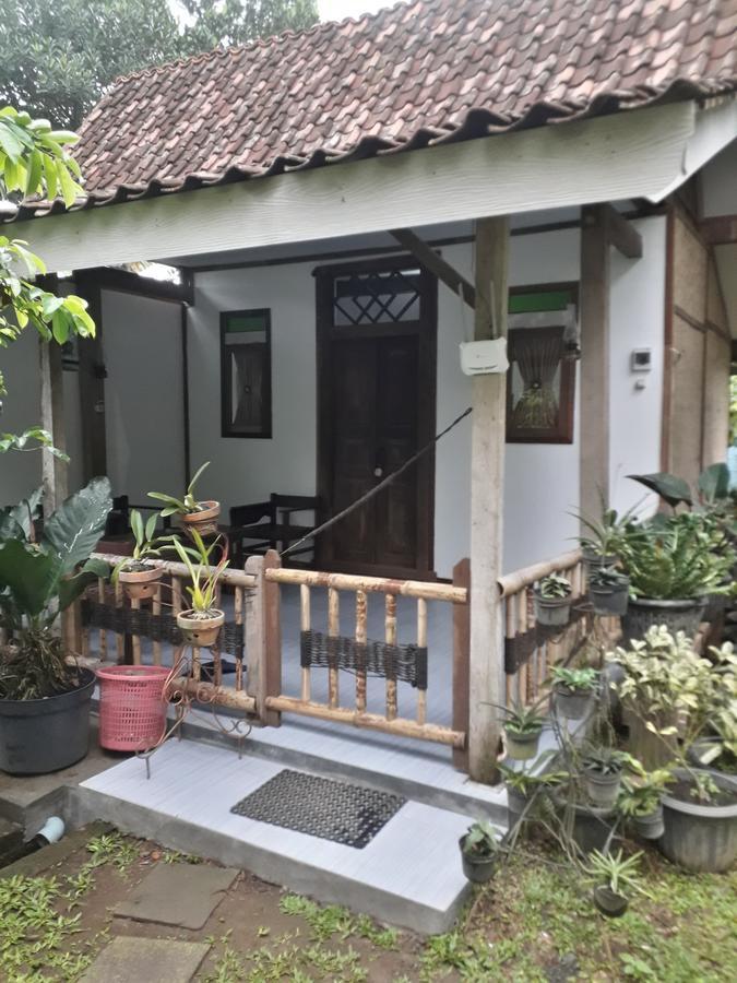 Banyu Homestay Banyuwangi  Bagian luar foto